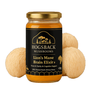 Limitless Lion's Mane Brain Elixir