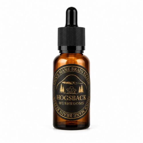 Lion's Mane Brain Elixir